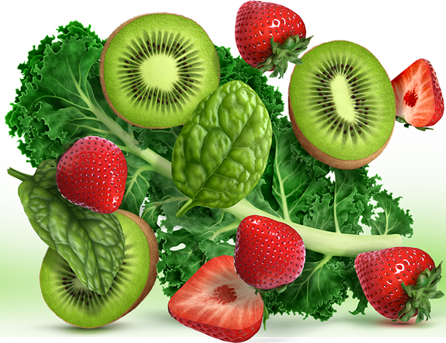 LePine Studios - realistic illustration | Ketologic MacroGreens:  kale, spinach, kiwi, and strawberries.