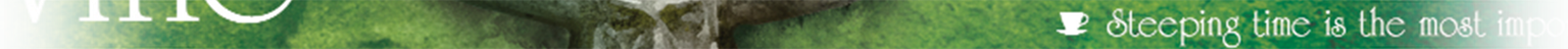 TeaBox illustration artwork banner